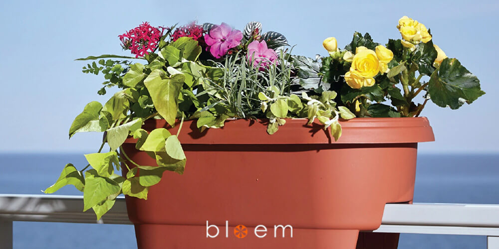 Bloem deck rail terracotta clay planter 