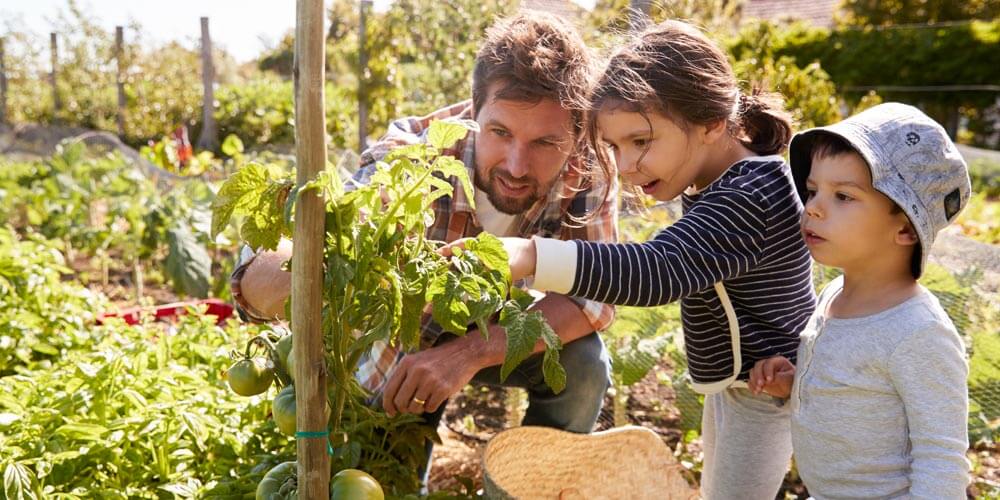 Gardening