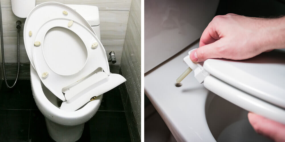Changing your toilet seat - Max Warehouse