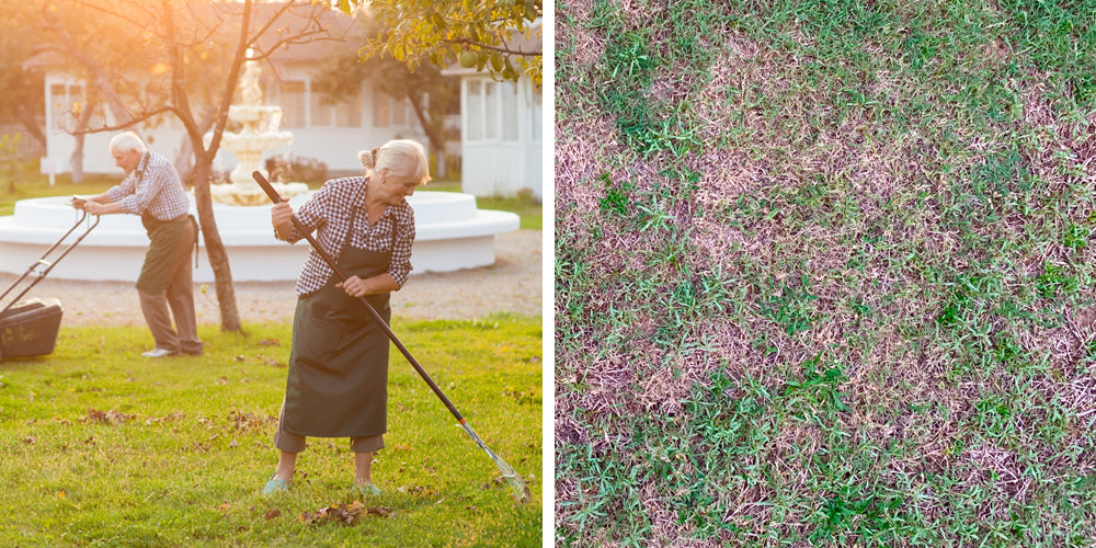 Preparing your garden - Max Warehouse