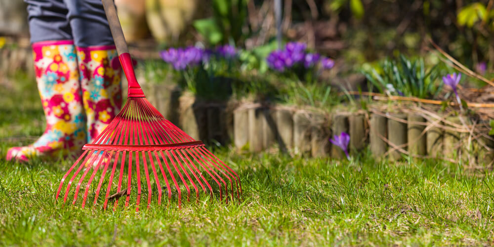 The Important Planning Stages for a Great Spring Lawn | Max Warehouse