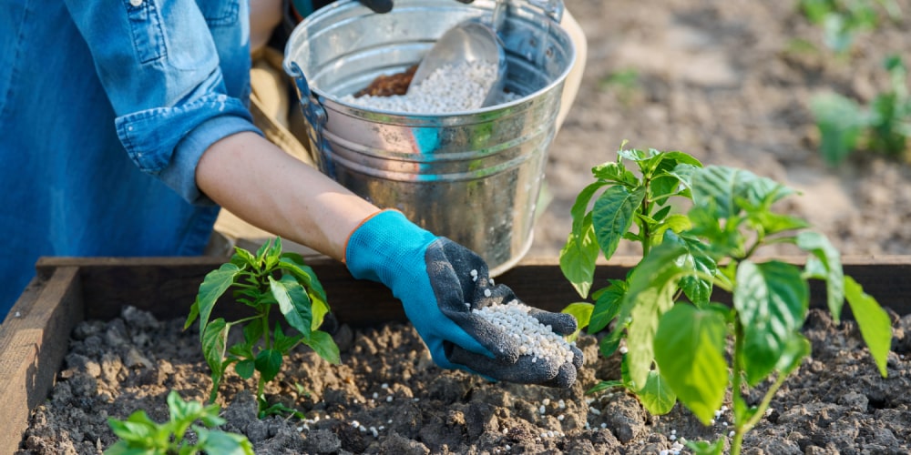 how to start a landscaping business