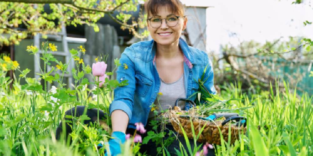 How to weed a garden