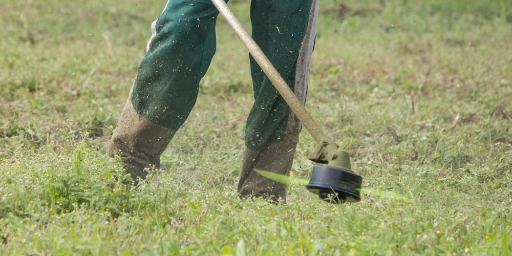 essential gardening tools