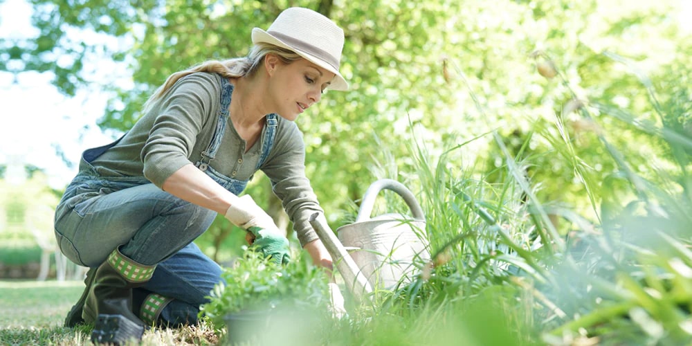 essential gardening tools