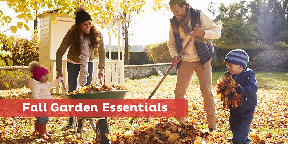 Garden Tools for Fall