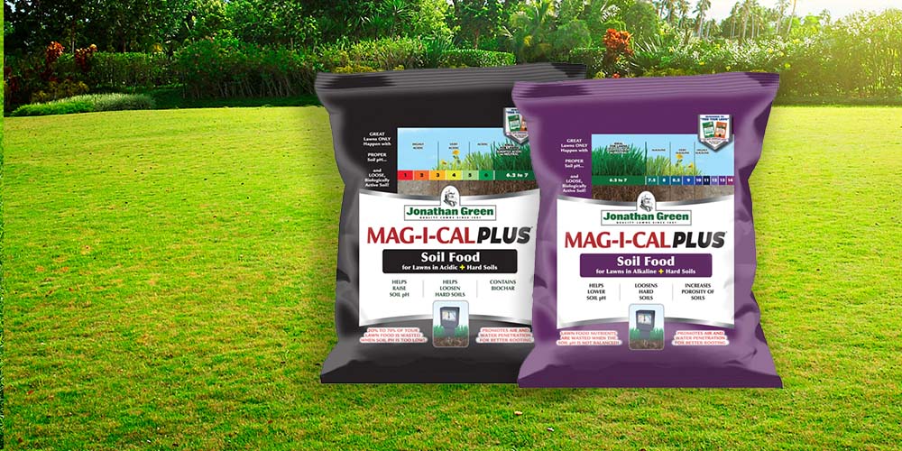 Get a Better Lawn With Quality Fertilizer 
