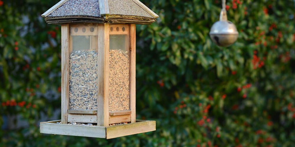 Hopper Bird Feeder