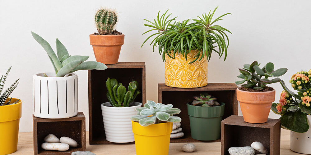 indoor plant pots