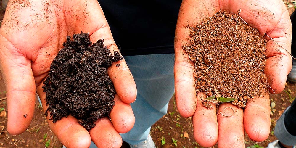 Know Your Soil Type 