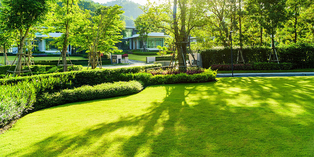 Lawn and garden fertilizer recommendations
