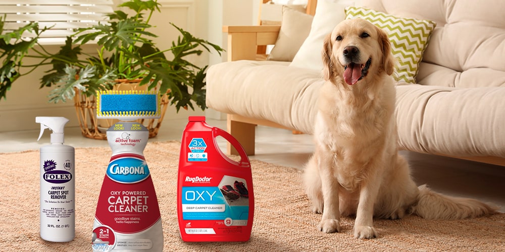 what floor cleaner is safe for dogs