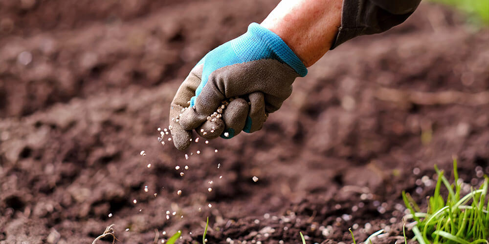 Spring Fertilizing