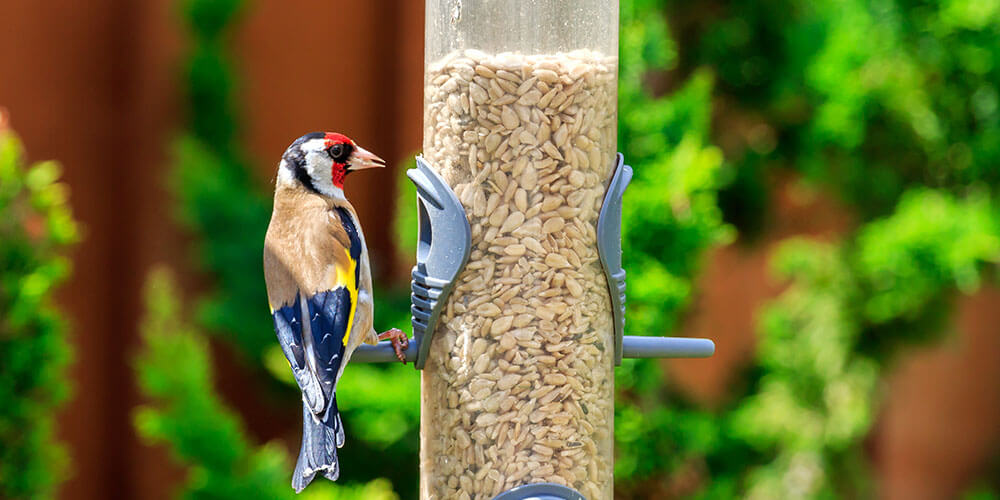Tube bird feeder