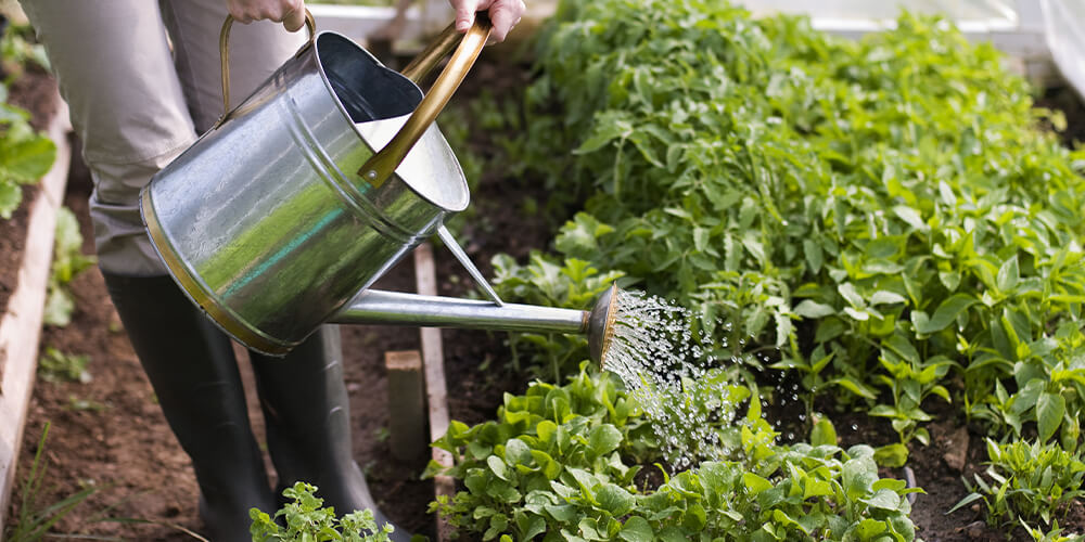 Watering can