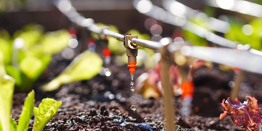 Drip irrigation system