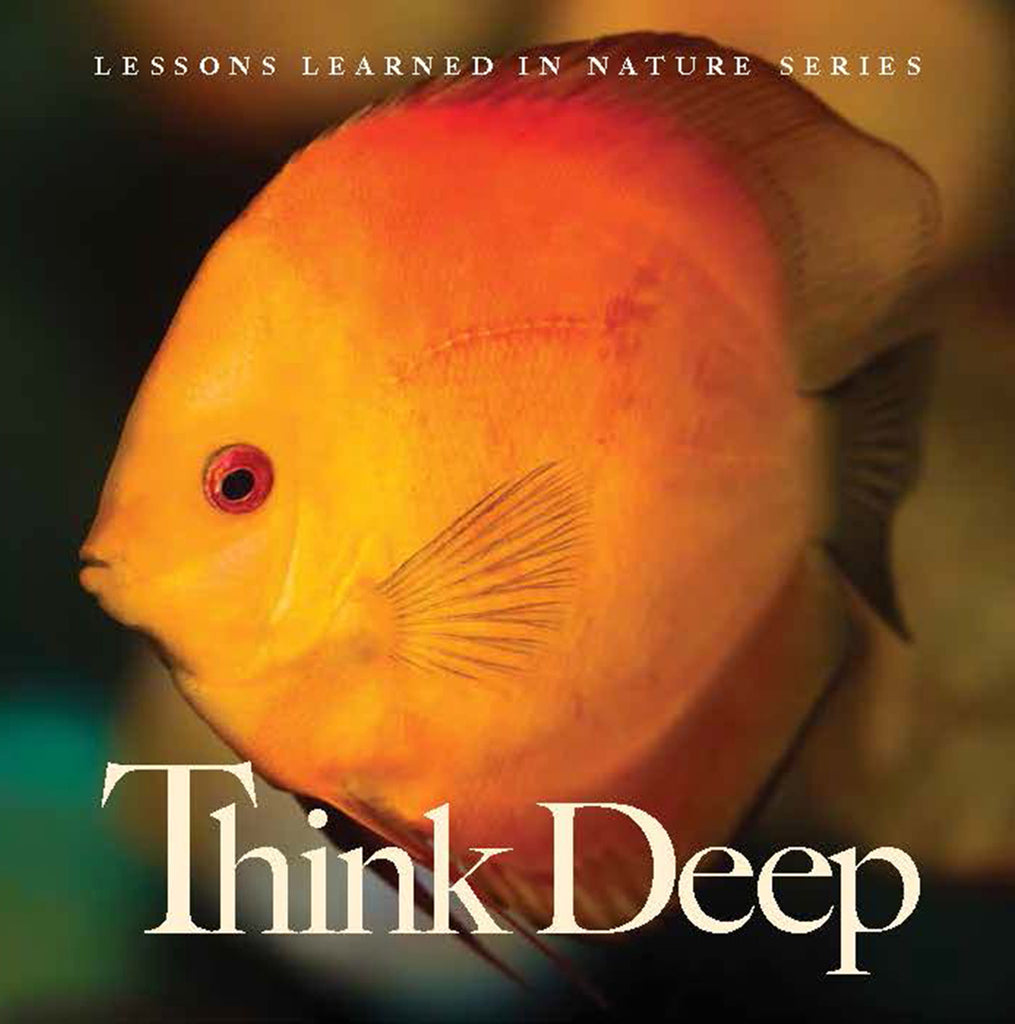 Think Deep Lessons Learned in Nature