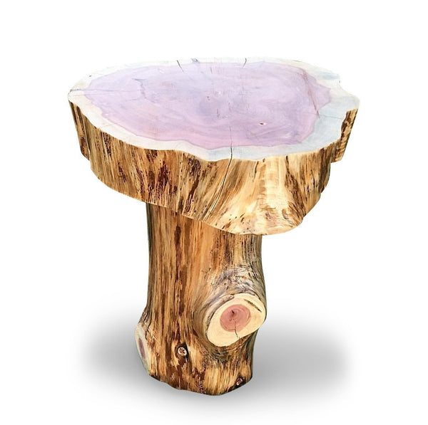 Stump Base Slab Top End Table Night Stand Knaughty Log Co