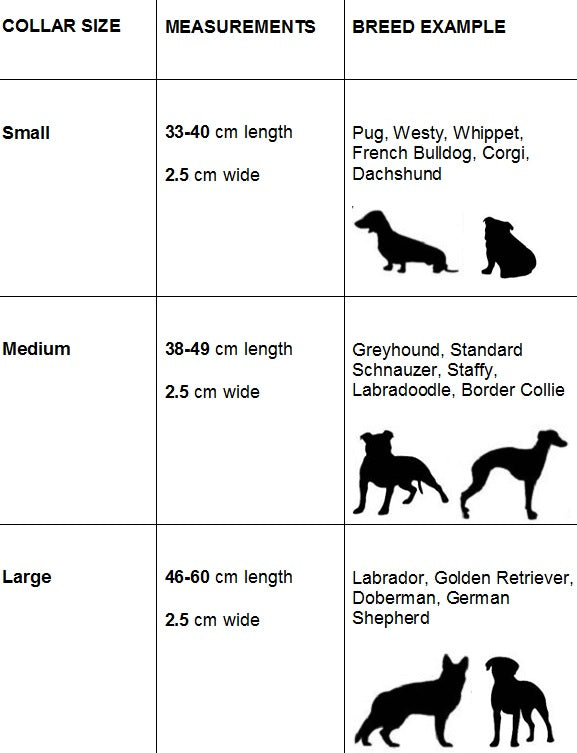 Blue Heeler Size Chart