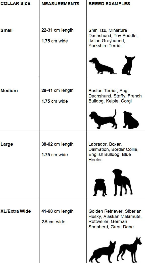 Alaskan Malamute Size Chart