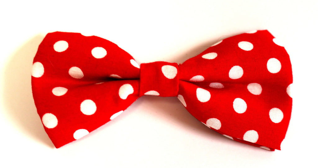 polka dot dog bow tie