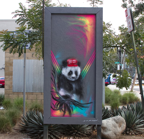 Art Of The Endangered DTSA art streetart