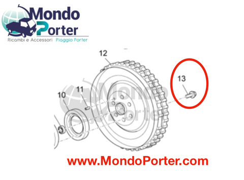 Piaggio Porter Mutitech Flywheel Screw