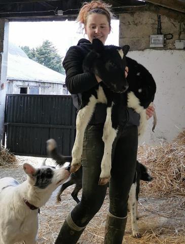 Maighread Baron with her animals in a hay barn on her farm