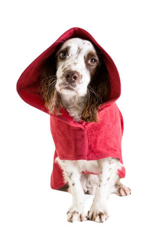 Dog wearing Ruff & Tumble Classic Dog Drying Coat in brick red against a white background
