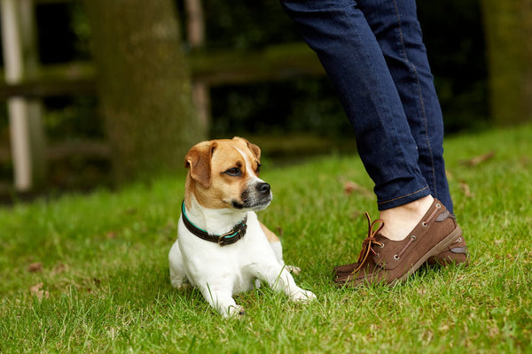 Ariat Antigua Boat Shoes Worn Outside