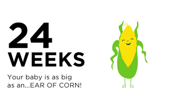 24-weeks-pregnant-your-baby-is-as-big-as-an-ear-of-corn