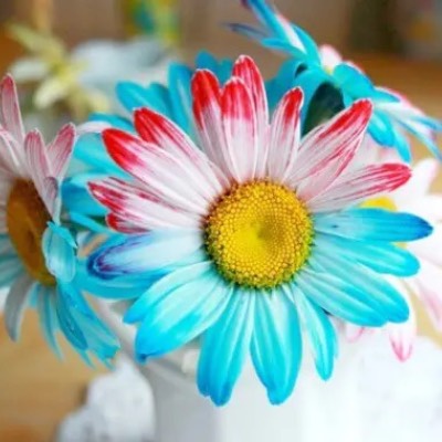 4th of July flower activity for kids