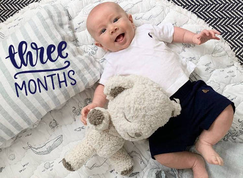 23 Unique Monthly Baby Photo Ideas | Monthly baby pictures, Baby month by  month, Monthly baby photos