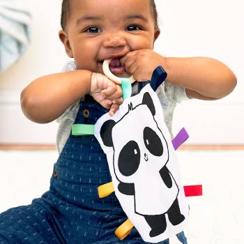 Baby with Panda Crate toy