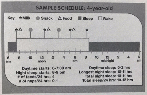 How Much Should a Toddler Sleep? – Happiest Baby