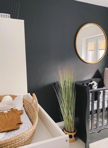 Nursery with a black accent wall and a potted plant