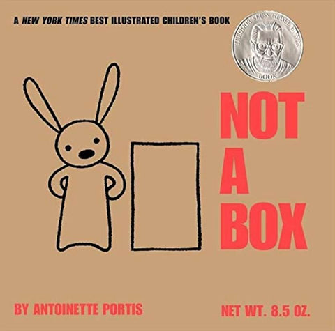 Not a Box book for toddlers