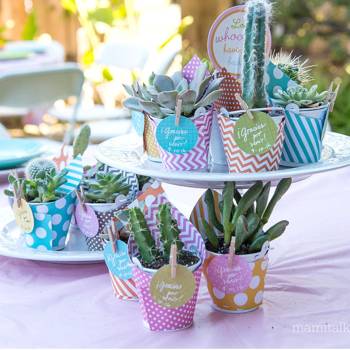 Cactus baby shower ideas