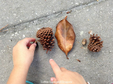 math activity for toddlers: nature patterns