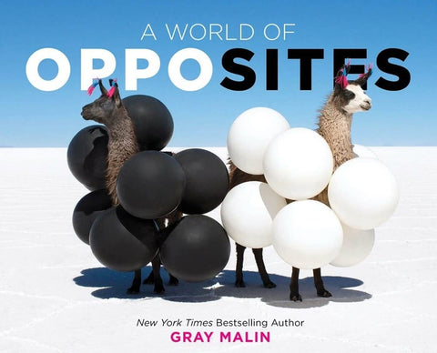 A World of Opposites book for babies