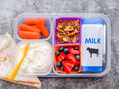 Yogurt parfait bento box lunch idea for toddlers