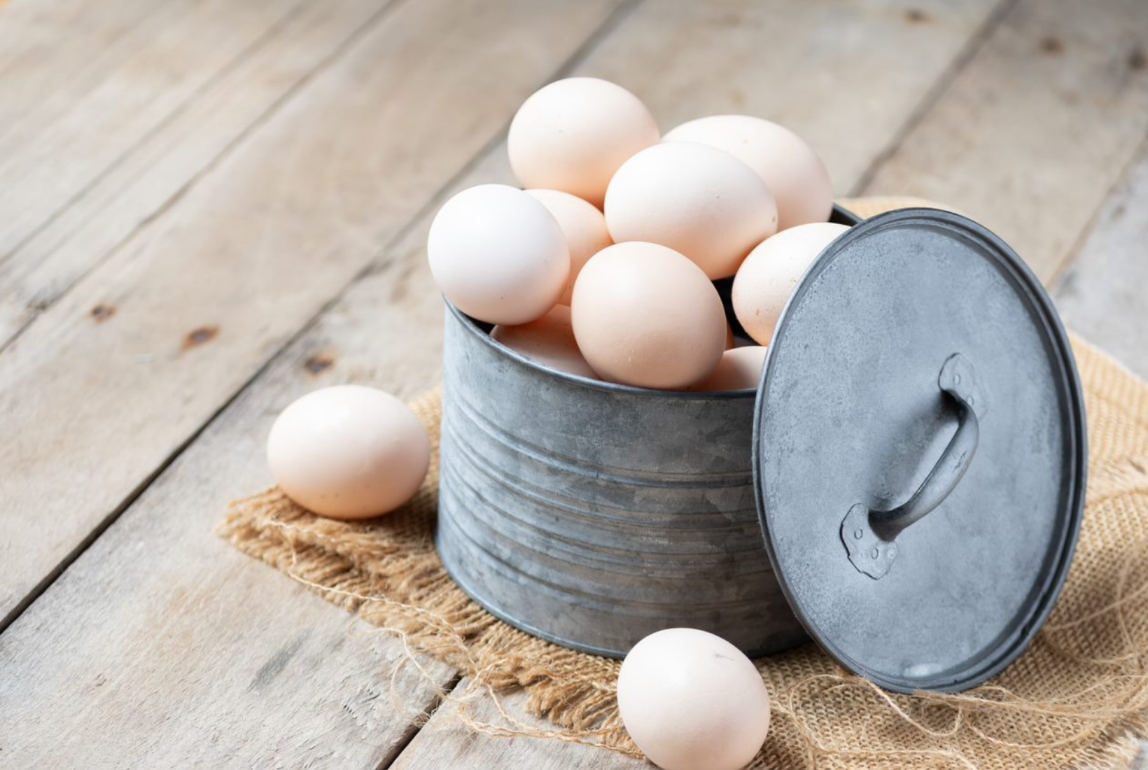 TOP 8 BEST CHICKEN BREEDS FOR EGGS,their ORIGIN,No. of EGGS PER YEAR, EGG  SIZE and much more! 