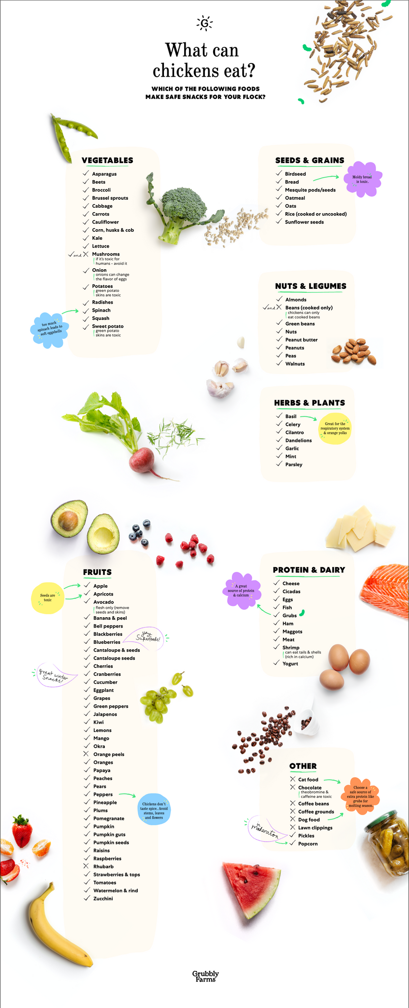 Can Chickens And Ducks Eat Cooked Potatoes: A Nutritious Delight!