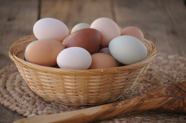 Storing and Preserving Chicken Eggs