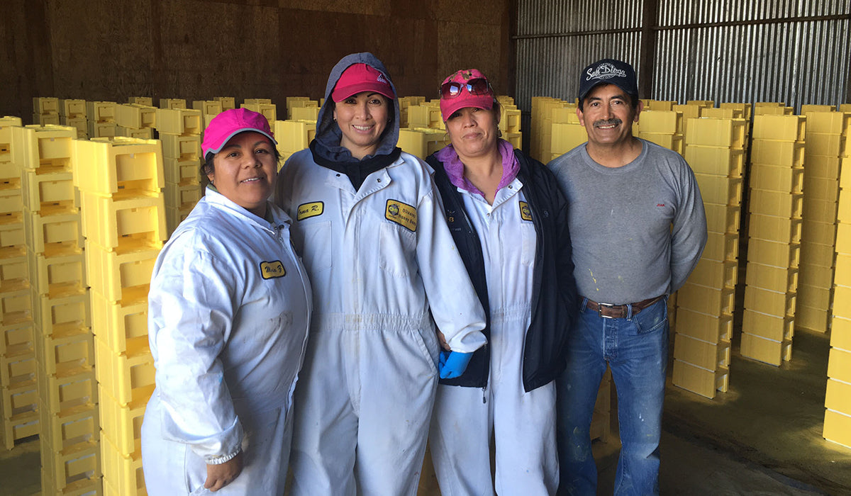 four smiling employees posing in the warehouse