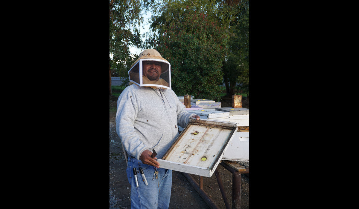 a male beekeeper smiles at the camera while holding a frame