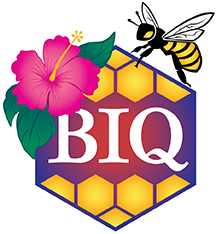 Big Island Queens Logo