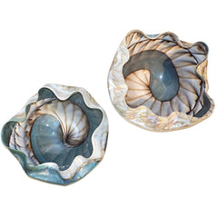 Large-Pair-Blue-Cream-Mother-of-Pearl-Murano-Glass-Iridescent-Wavy-Bowls