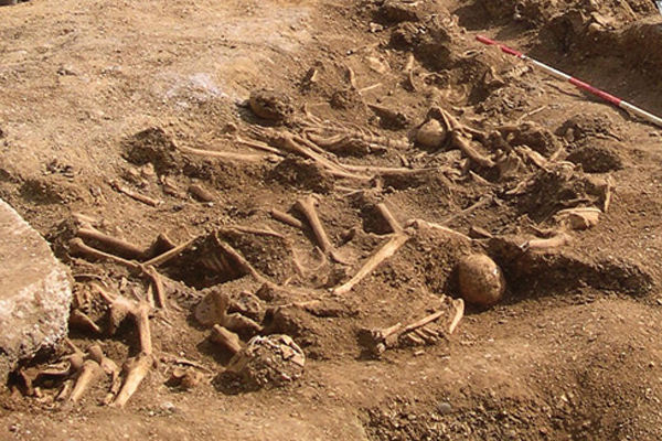 Viking Mass Grave