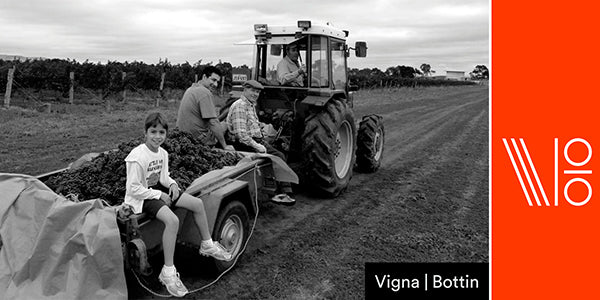 Vigna Bottin